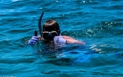 Coffin Island: The Making of a Perfect Lobster Lunch
