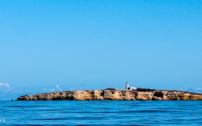 A Puerto Rican Pitstop: Boqueron & La Paraguera