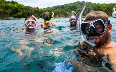It’s Not Every Day We Swim with Sea Turtles, Just Every Other Day (Video)