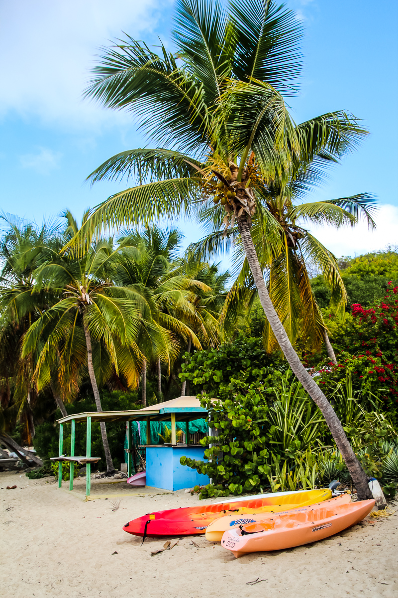 Cooper Island-5