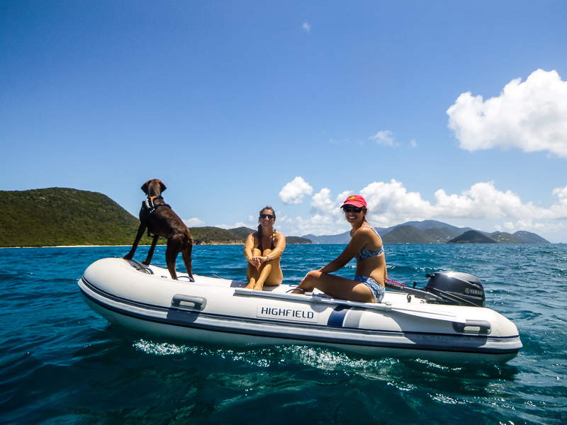 Dinghy drivers are essential to the operations. They also serve as look-outs for boats that may get too close. Here Kristiann, Terysa and Friday (the dog) keep a close lookout.