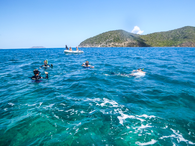 Everybody in the water!