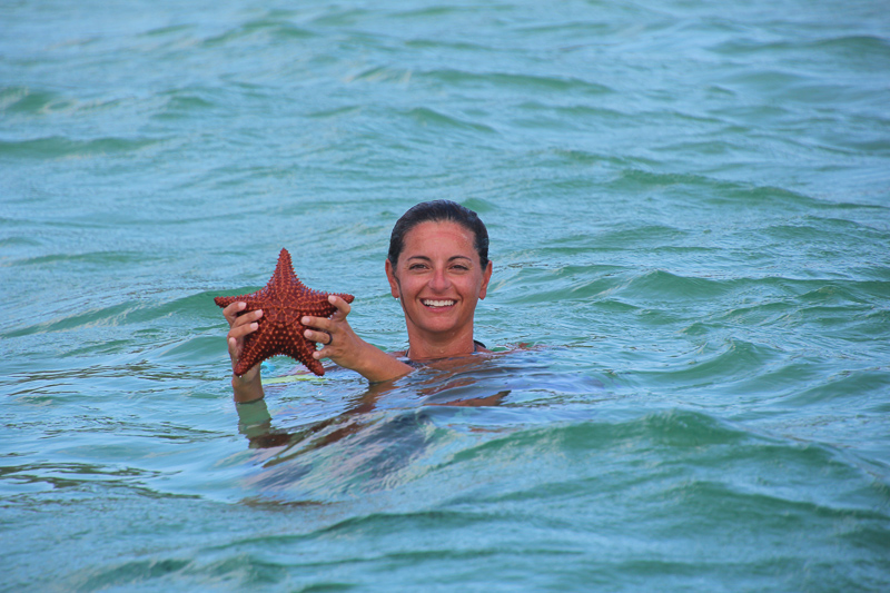 First starfish find of 2017
