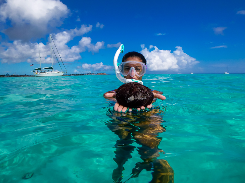 Alli with seabisquit